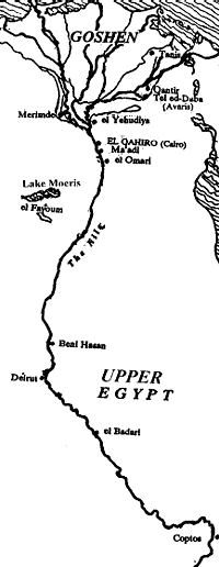 image of a map